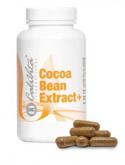 Cocoa Bean Extract, pentru men?inerea echilibrului mental foto