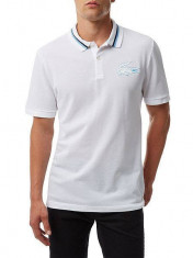 Tricou Lacoste LIve Polo Martin foto