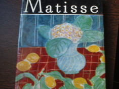 ALBUM MATISSE foto