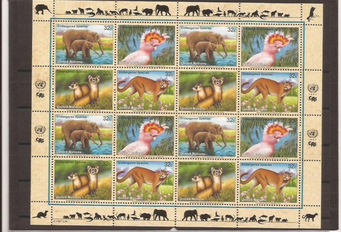 UNO New York 1997 fauna - 732/5 klbg