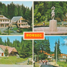 CPI (B6604) CARTE POSTALA - BORSEC. MOZAIC, 1983