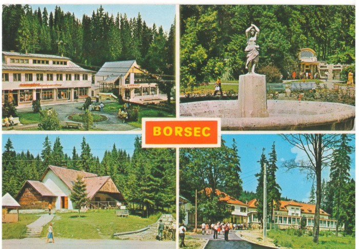 CPI (B6604) CARTE POSTALA - BORSEC. MOZAIC, 1983