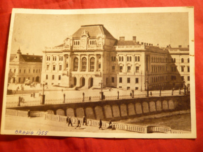 Ilustrata Oradea -Sfatul Popular , circulat 1955 foto