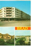 CPI (B6672) CARTE POSTALA - BRAD (21511)