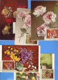 MAXIME ROMANIA ,FLORI 1978 ,1985, 5 BUCATI