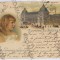 2723 - Pricess ELISABETH, Royalty, Regale, Litho - old postcard - used - 1900