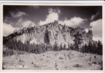 CARTE POSTALA MUNTII CIUCULUI CIRCULATA 1953 foto