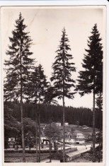 CARTE POSTALA BORSEC CIRCULATA 1944 foto