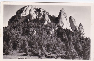 CARTE POSTALA MUNTII CIUCULUI CIRCULATA 1944 foto