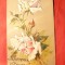 Ilustrata - Felicitare lucrata manual -Trandafiri ,circulat 1903