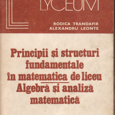 Matematica-Principii,structuri in matematica de liceu-Trandafir, Leonte-1982