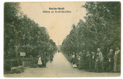 3250 - BUZIAS, Timis, Park - old postcard - unused foto