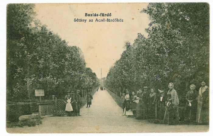 3250 - BUZIAS, Timis, Park - old postcard - unused