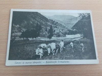 TARANI LA MUNCA CAMPULUI foto