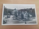 HARGHITA - BORSEC
