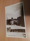 SINAIA - CASTELUL PELISOR, Necirculata, Fotografie