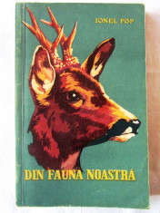 &amp;quot;DIN FAUNA NOASTRA&amp;quot;, Ionel Pop, 1959. Tiraj 6160 exemplare foto