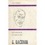 Dinu Flamand - Introducere &icirc;n opera lui G. Bacovia