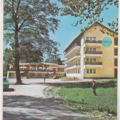 bnk cld Calendar de buzunar - 1979 - Hotel Tibiscum