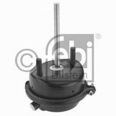 Cilindru receptor frana cu membrana MERCEDES-BENZ LP LP 608, LPL 608 - FEBI BILSTEIN 07084 foto