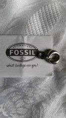 Charm Fossil cerc foto