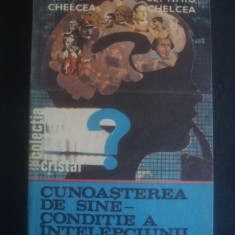 Adina Chelcea - Cunoasterea de sine, conditie a intelepciunii