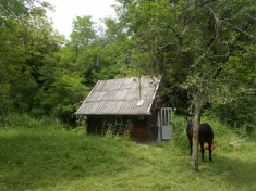 Teren+casa de vacanta Bujoru, Jud Hunedoara foto