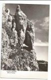 @ carte postala (ilustrata)-BUCEGI-Barna Portitei