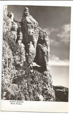 @ carte postala (ilustrata)-BUCEGI-Barna Portitei foto