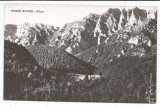 @ carte postala (ilustrata)-MUNTII BUCEGI-Diham