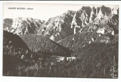 @ carte postala (ilustrata)-MUNTII BUCEGI-Diham foto