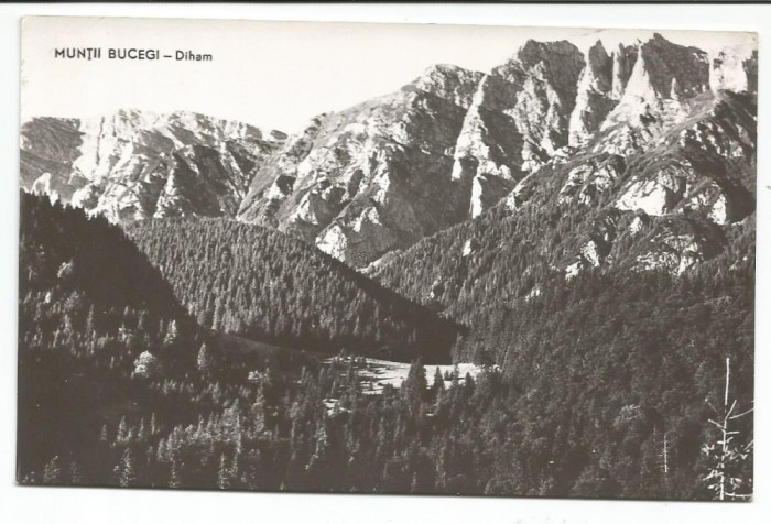 @ carte postala (ilustrata)-MUNTII BUCEGI-Diham