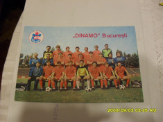 Foto Dinamo foto