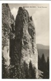 @ carte postala (ilustrata)-MUNTII BUCEGI-Turnil Seciului