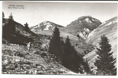 @ carte postala (ilustrata)-MUNTII BUCEGI-Varful cu Dor foto
