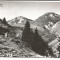 @ carte postala (ilustrata)-MUNTII BUCEGI-Varful cu Dor