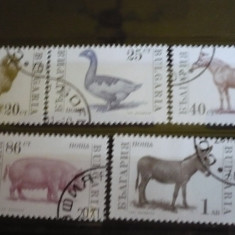 BULGARIA 1991 – ANIMALE SI PASARI DOMESTICE, serie stampilata, DF27