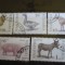 BULGARIA 1991 &ndash; ANIMALE SI PASARI DOMESTICE, serie stampilata, DF27