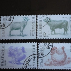 BULGARIA 1991 – ANIMALE SI PASARI DOMESTICE, serie stampilata, DF22