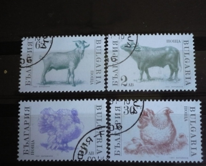 BULGARIA 1991 &ndash; ANIMALE SI PASARI DOMESTICE, serie stampilata, DF22
