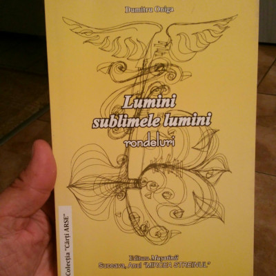 DUMITRU ONIGA LUMINI SUBLIMELE LUMINI RONDELURI 2010 MISCAREA LEGIONARA LEGIONAR foto