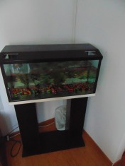 Acvariu 80l cu suport foto