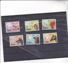 timbre st. din Cuba anmale casnice foto