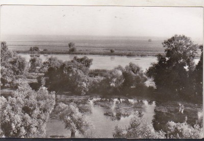 bnk cp Balta Brailei - Vedere- necirculata foto