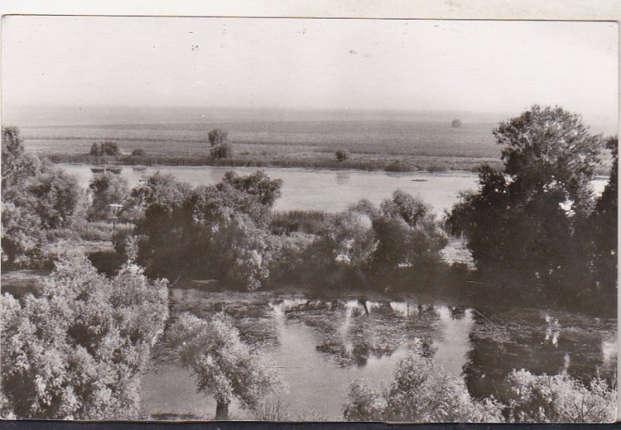 bnk cp Balta Brailei - Vedere- necirculata