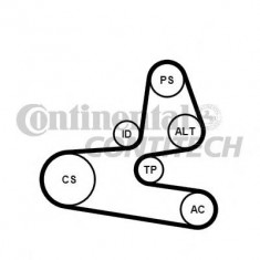 Set curea transmisie cu caneluri CITROEN BERLINGO I caroserie 1.1 i - CONTITECH 6PK1564K1 foto