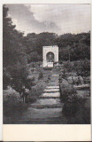 Bnk cp Drumul ce duce spre Mausoleul lui Octavian Goga - Vedere - necirculata, Printata