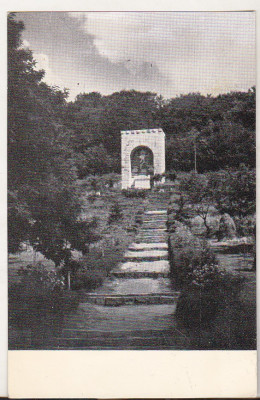 bnk cp Drumul ce duce spre Mausoleul lui Octavian Goga - Vedere - necirculata foto