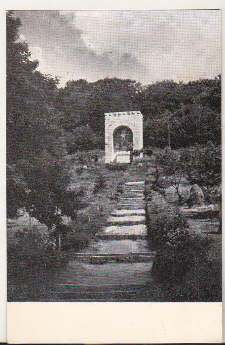bnk cp Drumul ce duce spre Mausoleul lui Octavian Goga - Vedere - necirculata