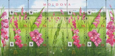 MOLDOVA 2016, Flora - WWF, serie neuzata, MNH foto